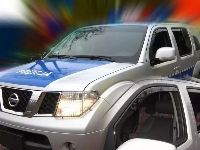 Дефлектори вікон Nissan Pathfinder III (R51; 05-14) - Heko (вставні) 4