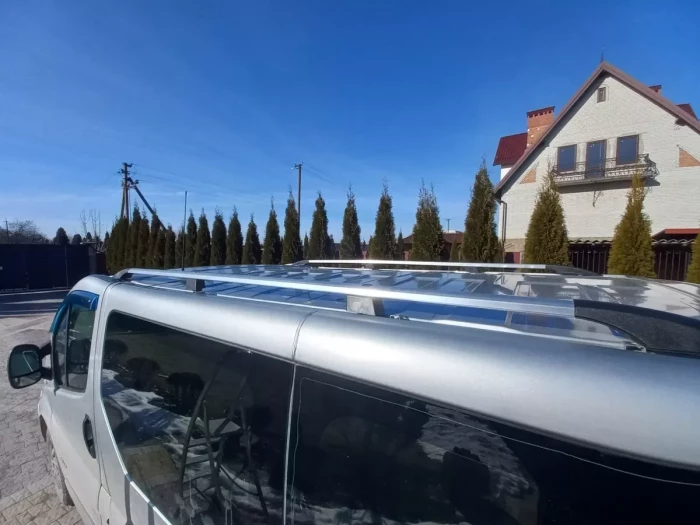 Рейлинги Opel Vivaro A (01-14) - хром 7