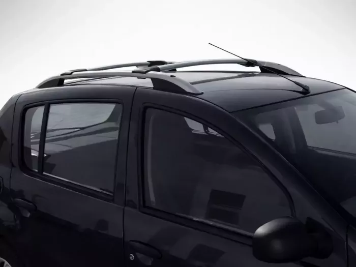 Рейлінги Dacia Sandero I (B90; 08-12) - Skyport (сірі) 3