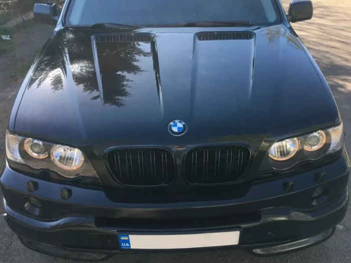 Решётка BMW X5 E53 (00-03) - двойные рёбра (глянцевая) 4
