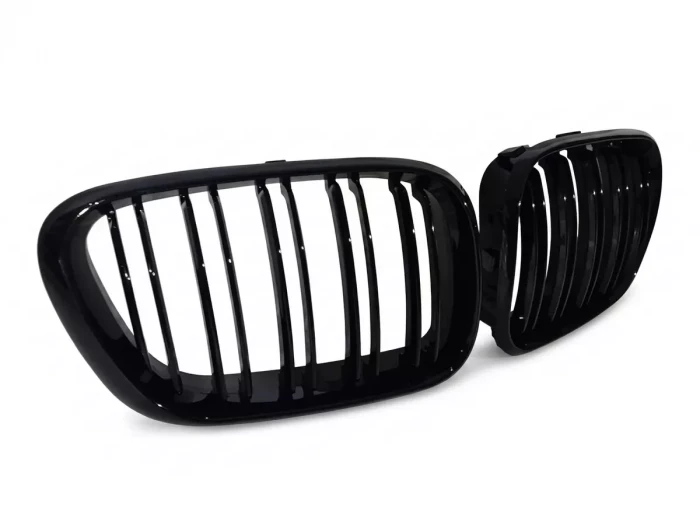 Решітка BMW X5 E53 (00-03) - M-Style (глянсова) 2