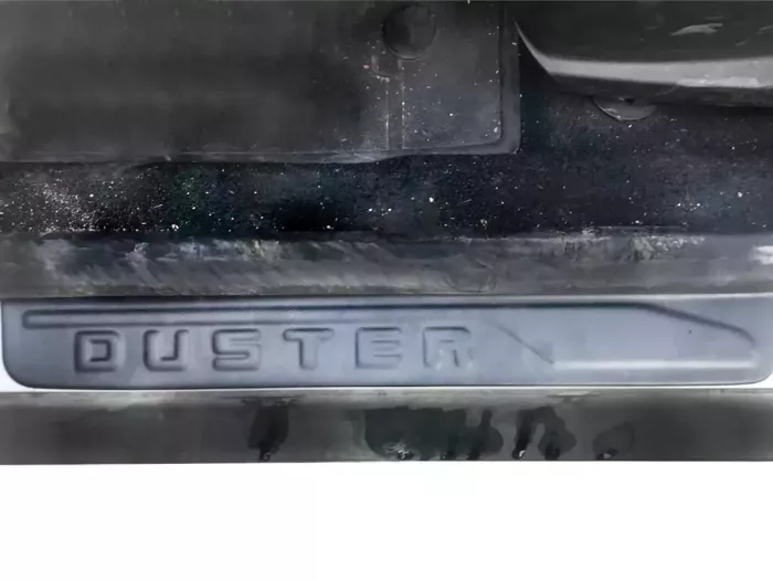 Накладки на пороги Dacia Duster II (HM; 18-24) - ABS 3