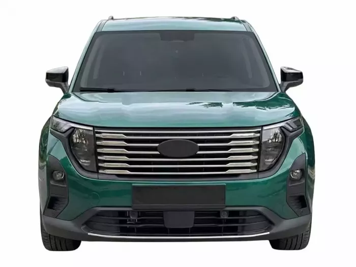 Хром на решітку радіатора Ford Courier II (23-) - Omsa 4