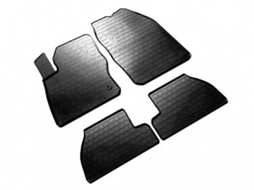 Коврики в салон Ford Focus III (C346; 11-18) USA - Stingray 1