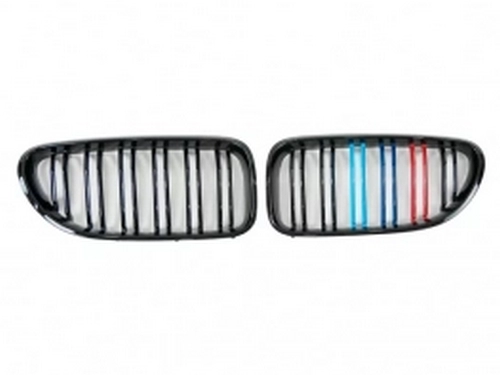 Решітка BMW 6 F06 / F12 / F13 (11-18) - кольорові подвійні ребра