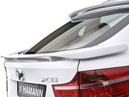 Спойлер нижний BMW X6 E71 (08-16) - Hamann стиль