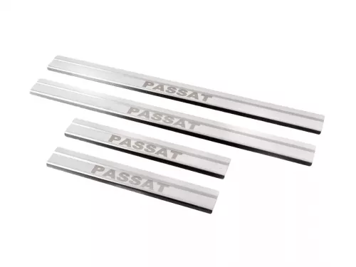 Накладки на пороги VW Passat B8 (15-22) - Carmos 2