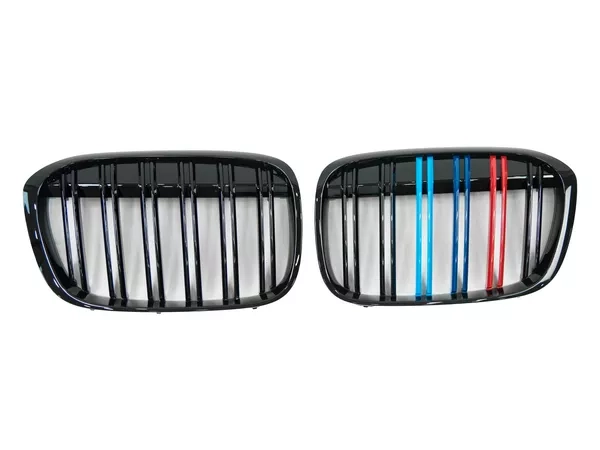 Решітка BMW X1 F48 (15-19) - кольорові подвійні ребра