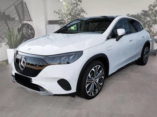 Mercedes EQE SUV I (X294; 2023-) 8