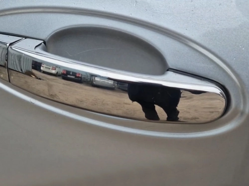 Хром накладки на ручки Ford C-Max II (10-19) - Carmos 7