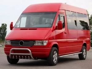 Кенгурятник Mercedes Sprinter W901 (95-06) - с грилем 4