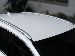 Рейлинги Lexus NX I (AZ10; 15-21) - OEM стиль 8