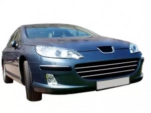 Хром накладки на решётку Peugeot 407 (04-11) 4