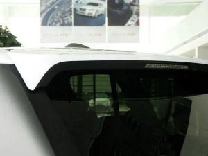 Спойлер Range Rover Sport I (L320; 05-13) - со стопом 4