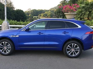 Рейлінги Jaguar F-Pace (16-) - OEM стиль 3