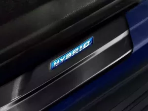 Накладки на пороги Toyota Rav4 V (XA50; 19-) - Avisa (чорні) 3