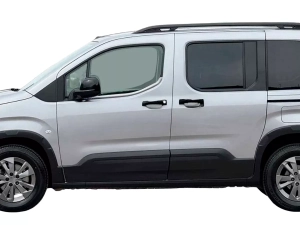 Хром нижние молдинги окон Peugeot Partner III / Rifter (18-) 5