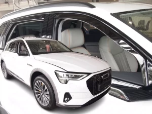 Дефлекторы окон Audi e-tron (18-22) / Q8 e-tron (22-25) - Heko (вставные) 3