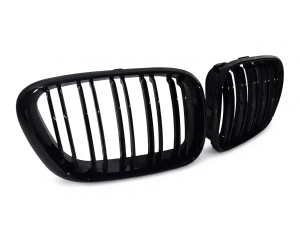 Решітка BMW X5 E53 (00-03) - M-Style (глянсова) 2