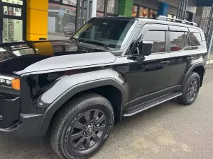 Дефлекторы окон Toyota LC Prado V (J250; 24-) - Niken (накладные, 6 шт) 8