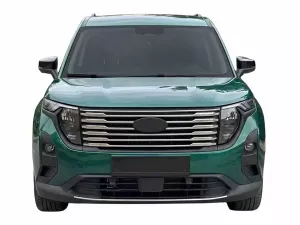 Хром на решітку радіатора Ford Courier II (23-) - Omsa 4