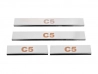 Накладки на пороги Citroen C5 II (08-17) - Carmos 1