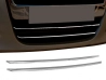 Хром накладки на нижню решітку Fiat Doblo II (10-14) 1