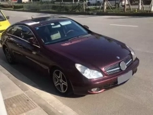 Решётка Mercedes CLS W219 (08-10) рестайлинг - Diamond Silver 4