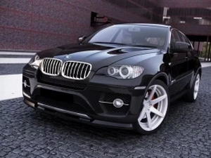 Сплиттер передний BMW X6 E71 (08-10) 4