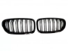 Решітка BMW 5 F10 / F11 (10-17) - подвійні ребра (глянсова)