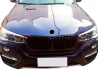 Решітка BMW X4 F26 (14-18) - подвійні ребра (глянсова) 4