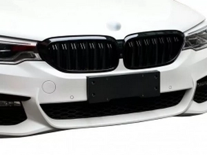 Решётка BMW 5 G30 / G31 (17-20) - двойные ребра (глянцевая) 4