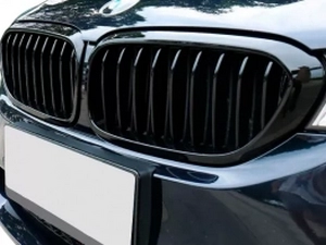 Решётка BMW 5 G30 / G31 (17-20) - одинарные ребра (глянцевая) 4