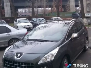 Рейлинги Peugeot 3008 I (T84; 09-16) - Skyport (серые) 3