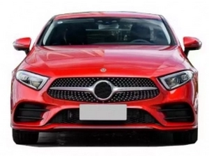 Решітка Mercedes CLS C257 (18-) - Diamond Silver 4