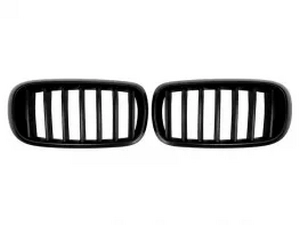 Решітка BMW X5 F15 / X6 F16 (13-19) - OEM стиль (матова) 1