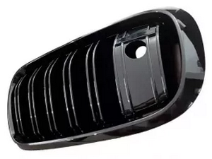 Решётка BMW X5 F15 / X6 F16 (13-19) - M-стиль (под камеру) 3