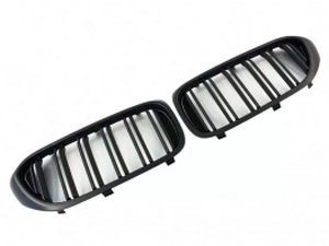 Решётка BMW 5 G30 / G31 (17-20) - двойные ребра (матовая) 2