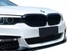 Решітка BMW 5 G30 / G31 (17-20) - одинарні ребра (матова) 4