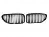 Решітка BMW 6 F06 / F12 / F13 (11-18) - подвійні ребра (глянсова) 1