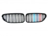 Решітка BMW 6 F06 / F12 / F13 (11-18) - кольорові подвійні ребра
