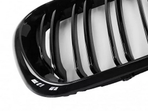 Решётка BMW X5 E53 (00-03) - двойные рёбра (глянцевая) 3