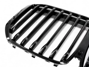 Решётка BMW X7 G07 (18-22) - одинарные рёбра (глянцевая) 3