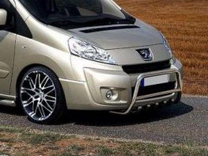 Кенгурятник FIAT Scudo II (07-15) - с грилем