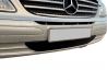 Зимова накладка на решітку Mercedes Vito W639 (03-09) - нижня 3