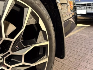 Брызговики BMW X7 G07 (18-) без порогов - Premium 8