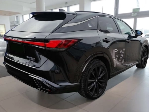 Накладка на задній бампер Lexus RX V (ALA10/ALH10; 22-) - Avisa (срібна) 7